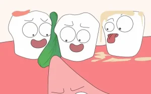 吃饭总塞牙是牙缝变大了吗