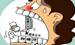 种一颗牙钱都花哪了